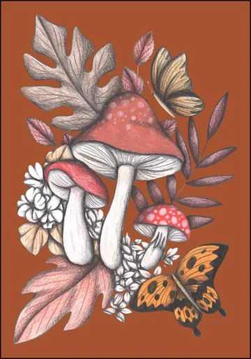 Mushrooms Magic 2