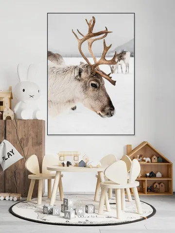 Reindeer in Norway
