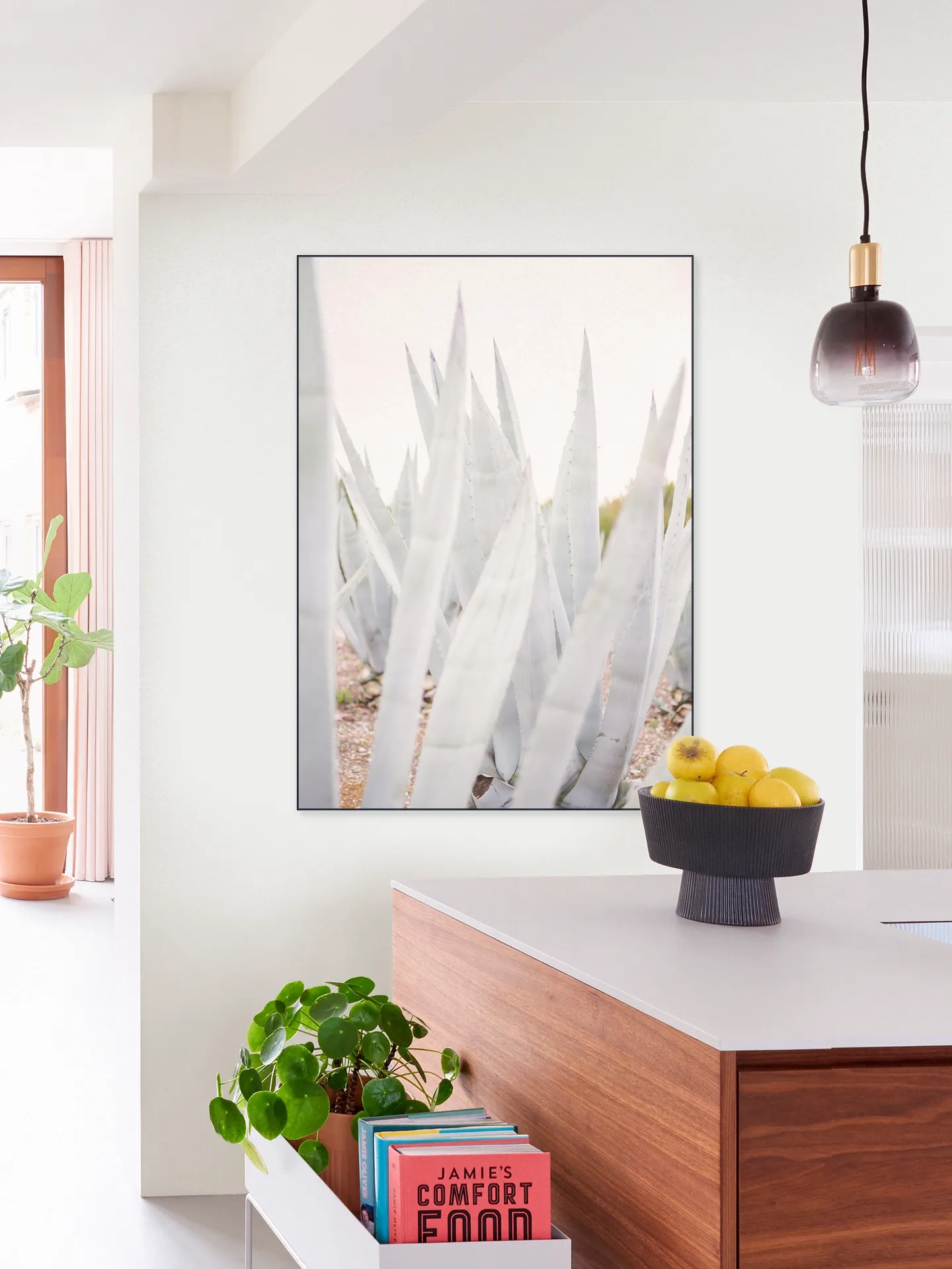Bright Agave Plants