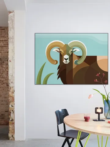 Mouflon