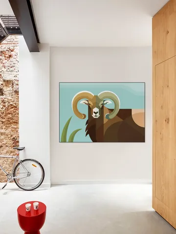 Mouflon