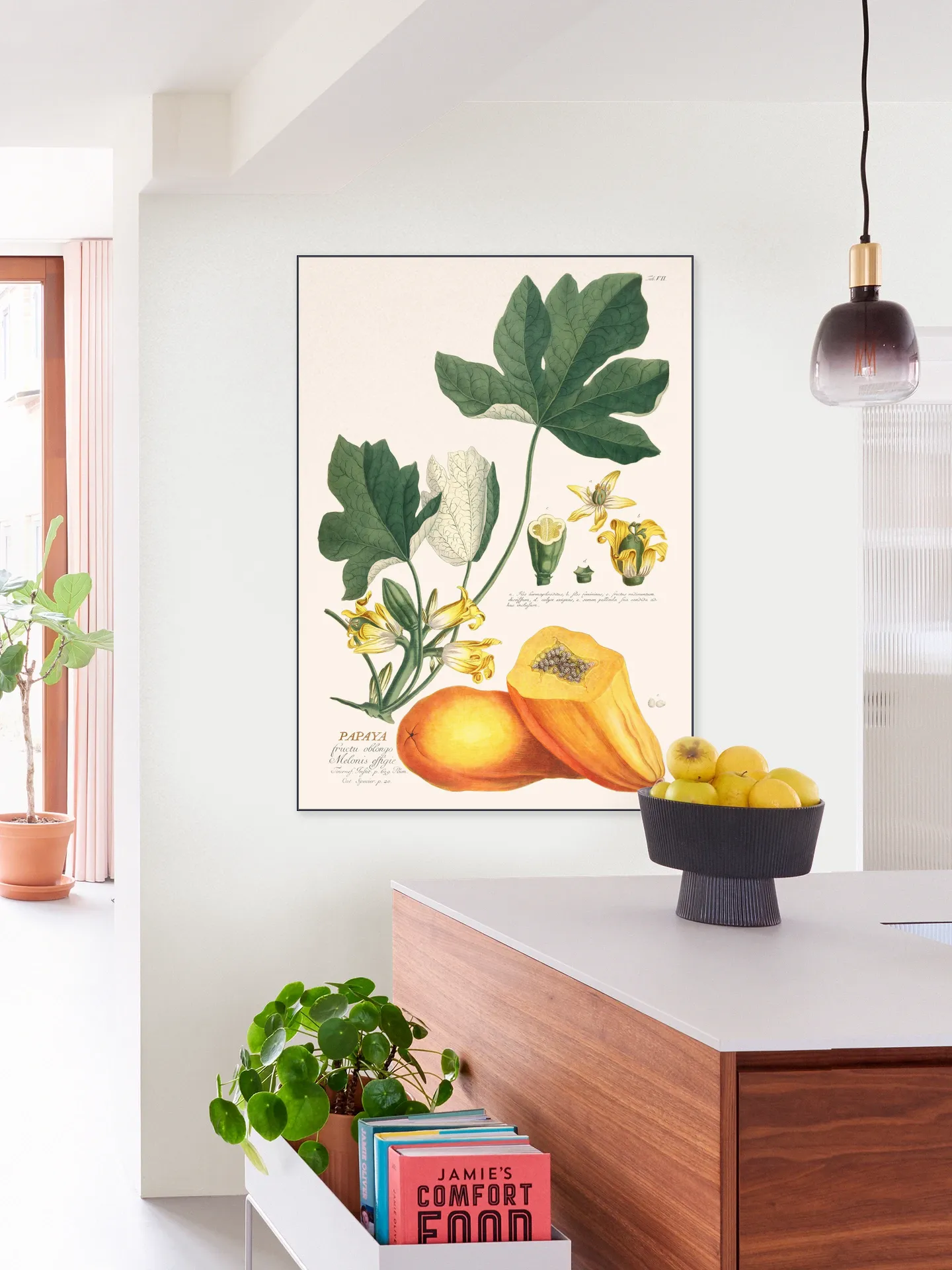 Papaya