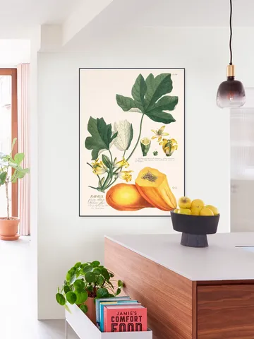 Papaya