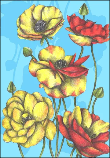 Buttercups