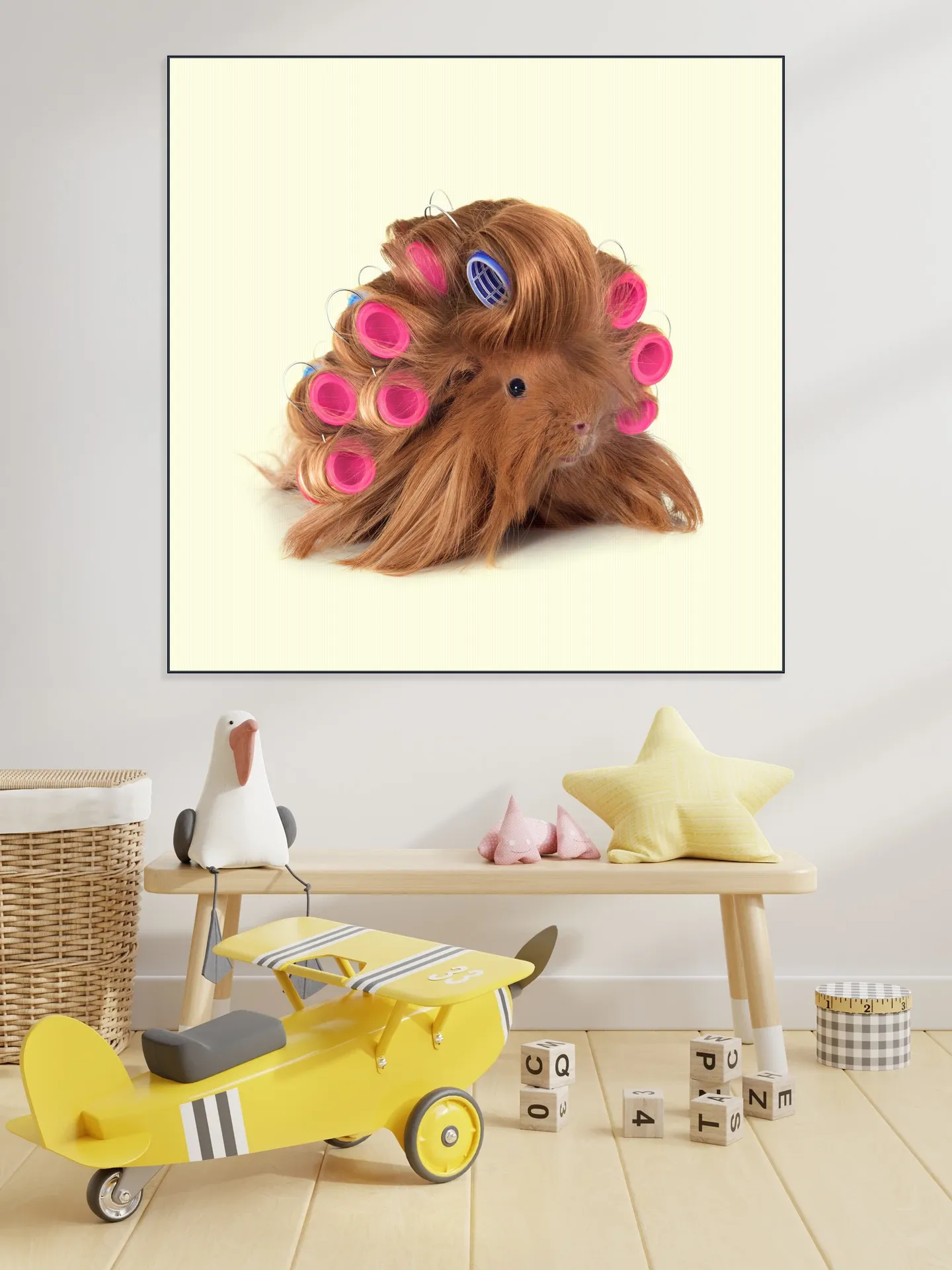 Hairy Guinea Pig