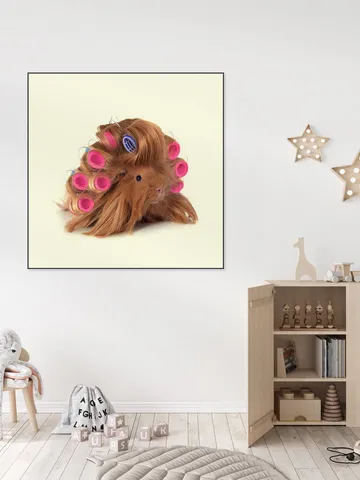 Hairy Guinea Pig