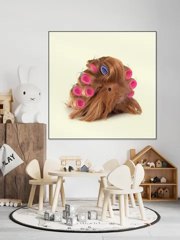 Hairy Guinea Pig