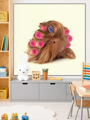 Hairy Guinea Pig