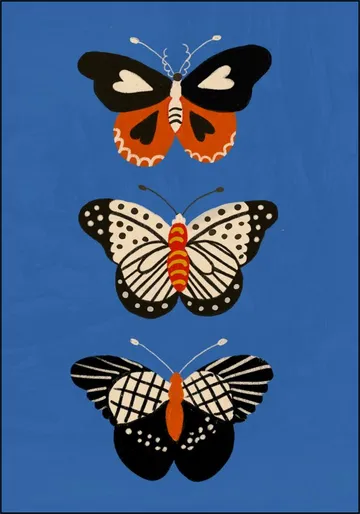 Butterflies