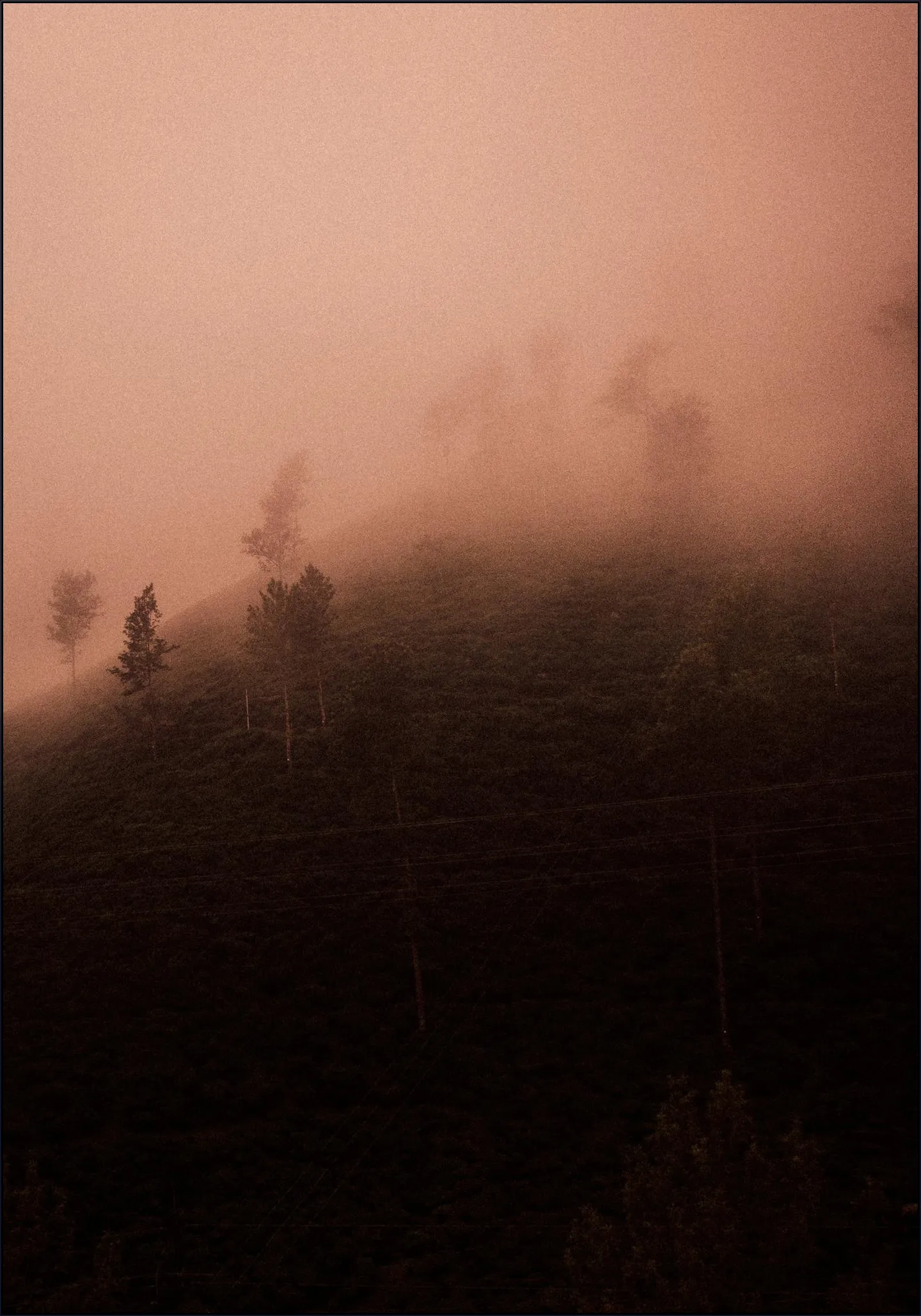 Red Morning