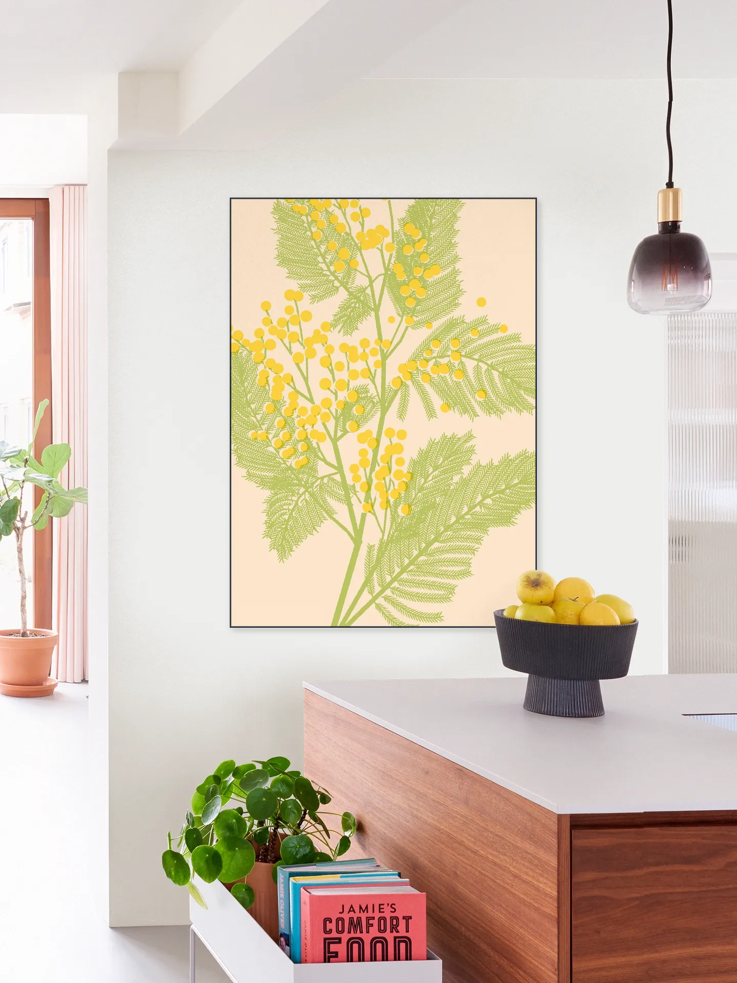 Mimosa