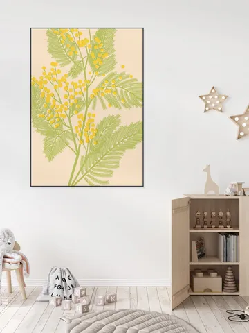 Mimosa