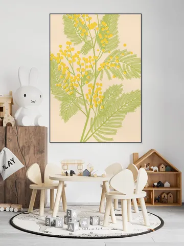 Mimosa