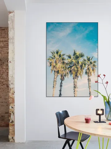 Barcelona Palm Trees