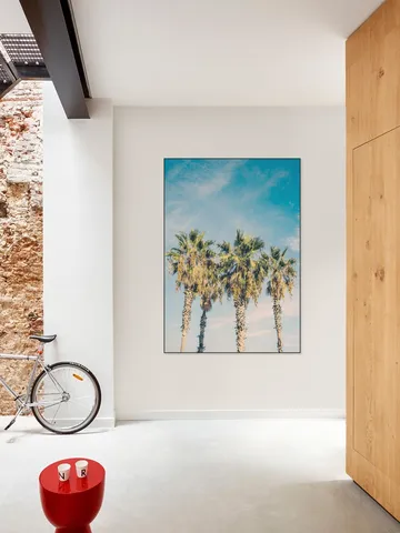 Barcelona Palm Trees
