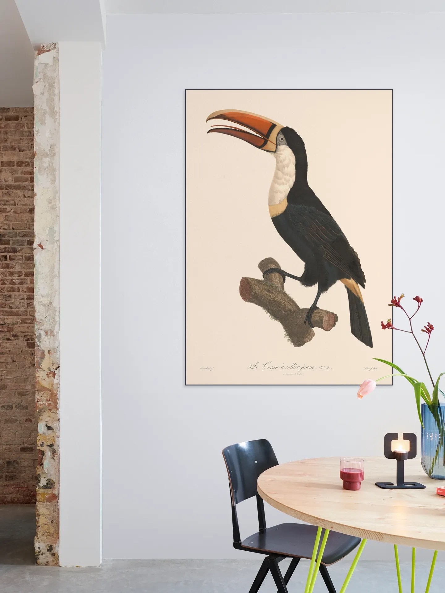 Le Toucan a Collier Jaune