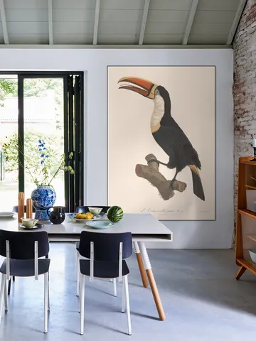 Le Toucan a Collier Jaune