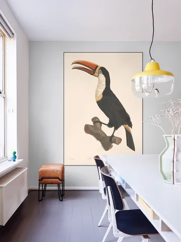 Le Toucan a Collier Jaune