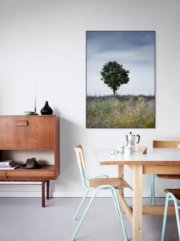 Summer Meadow