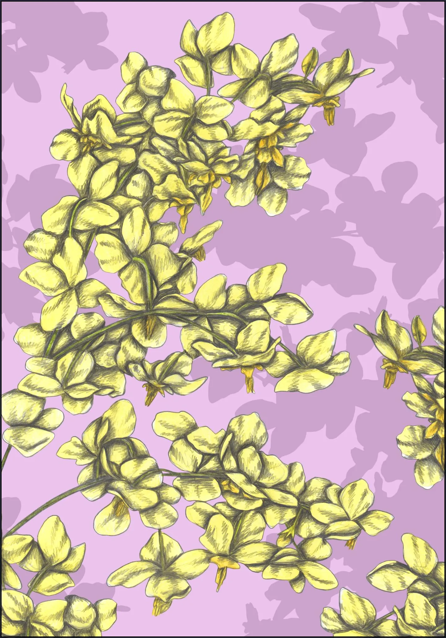 Candy Flowers