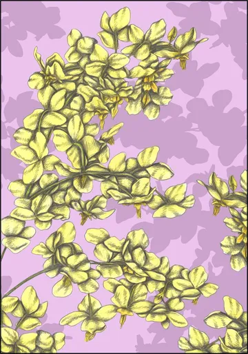 Candy Flowers
