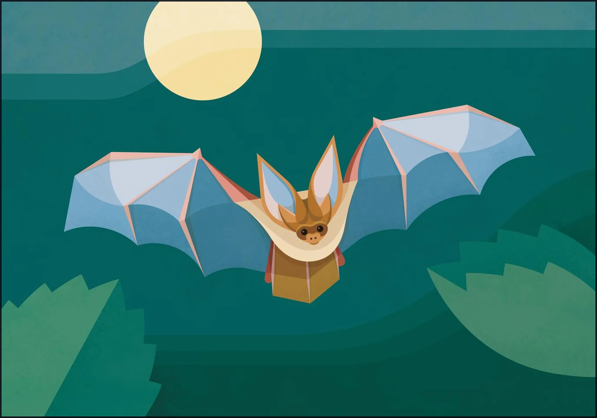Bat