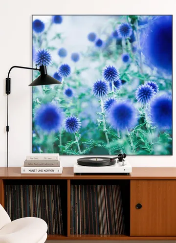 Dream Flowers Blue