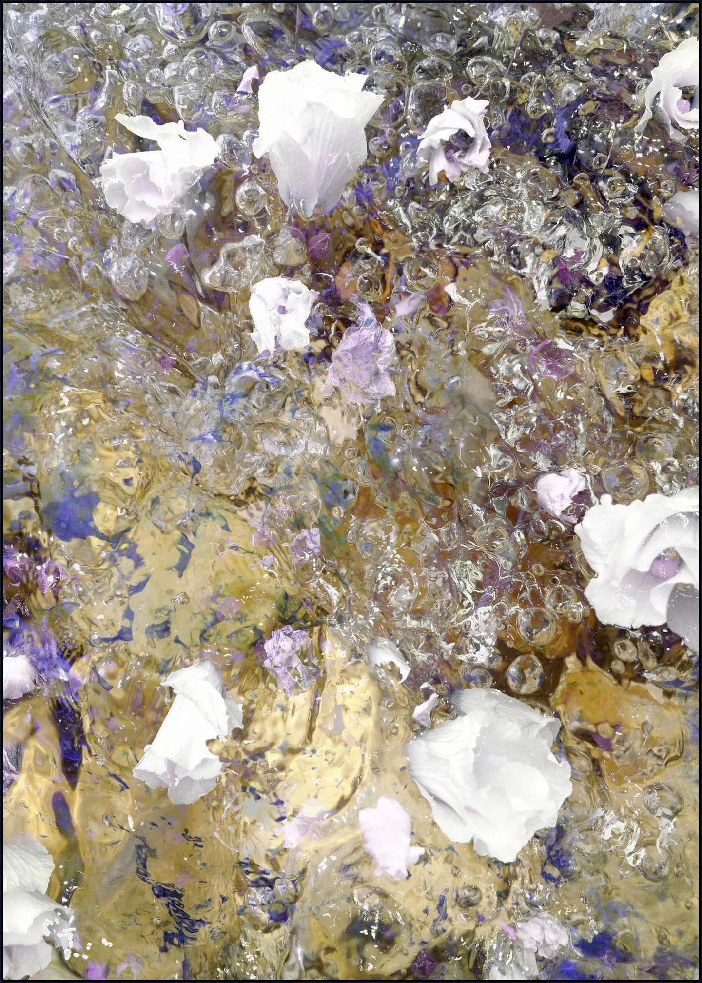 White Purple Gold
