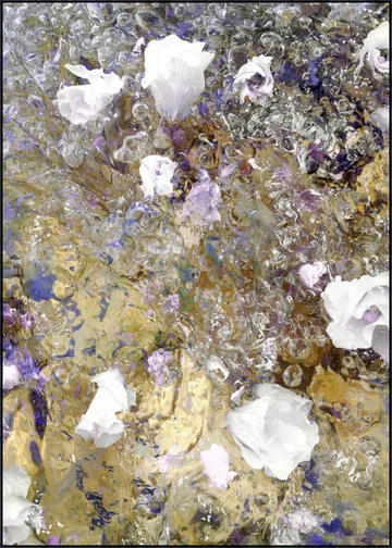 White Purple Gold