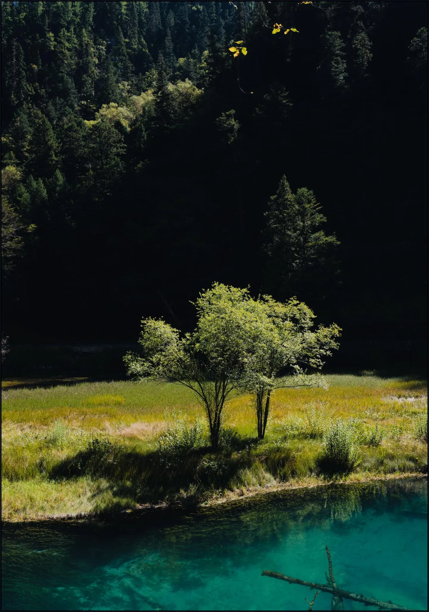Morning Light In China