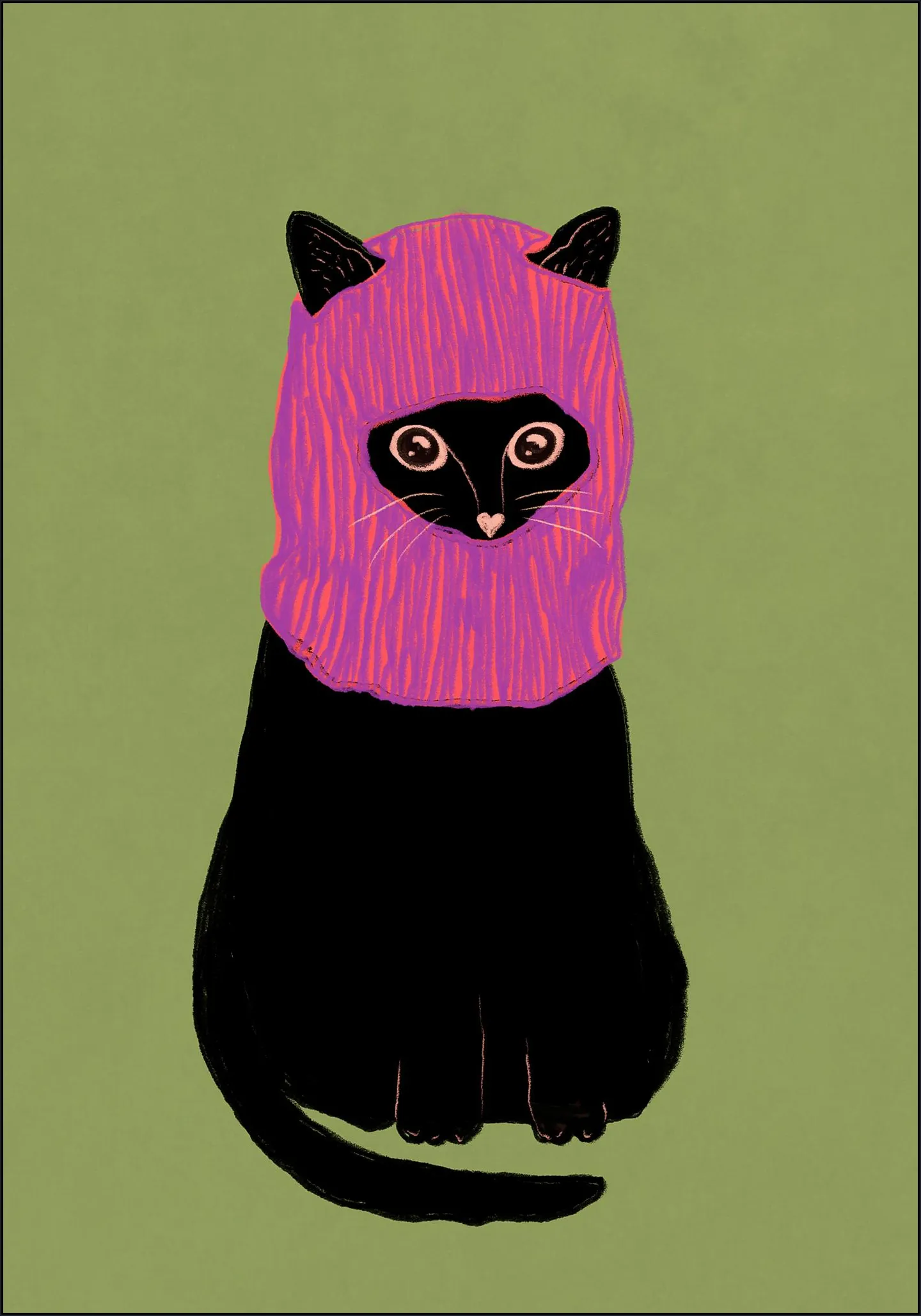 Rebellious Cat
