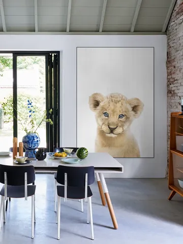 Baby Lion - blue eyes