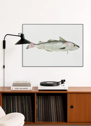 Haddock
