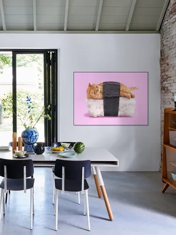 Sushi Cat