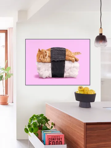 Sushi Cat