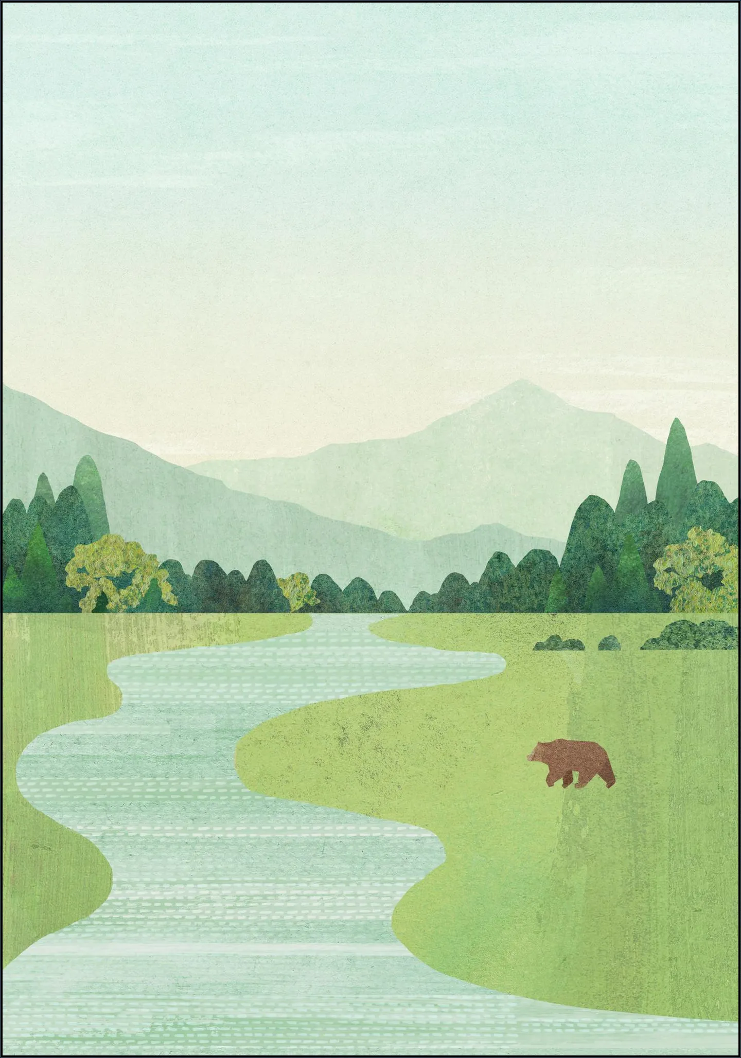 The Bear
