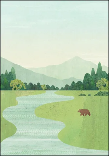 The Bear