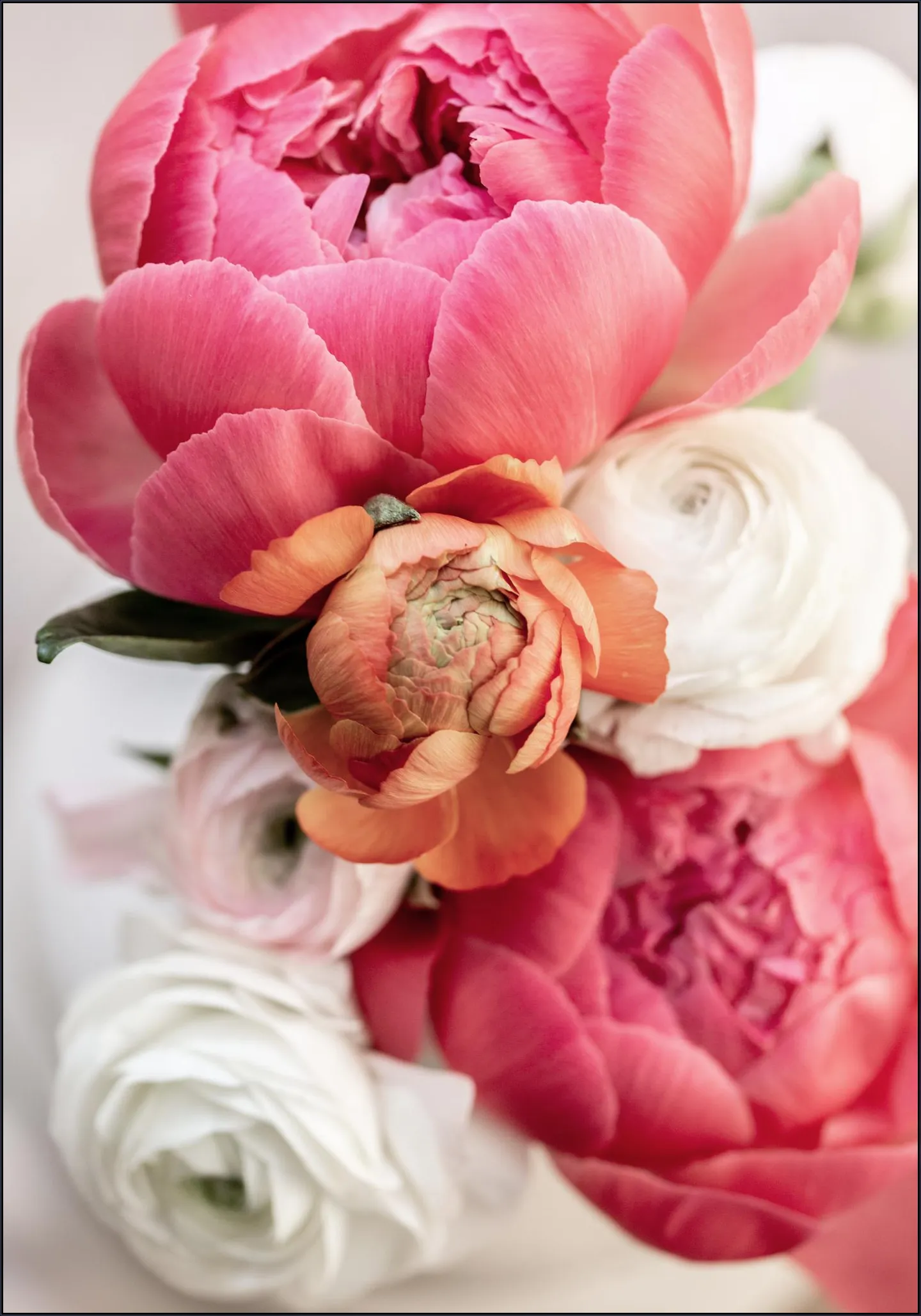 Spring Flowers