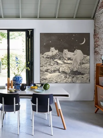 Giant White Wolves