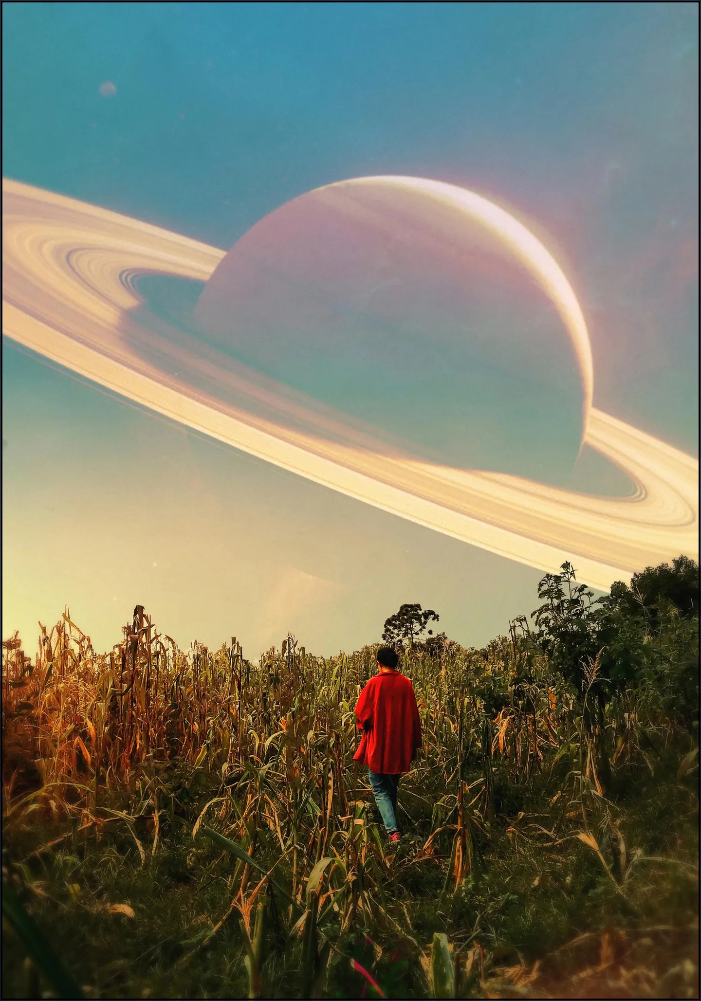 Saturn View