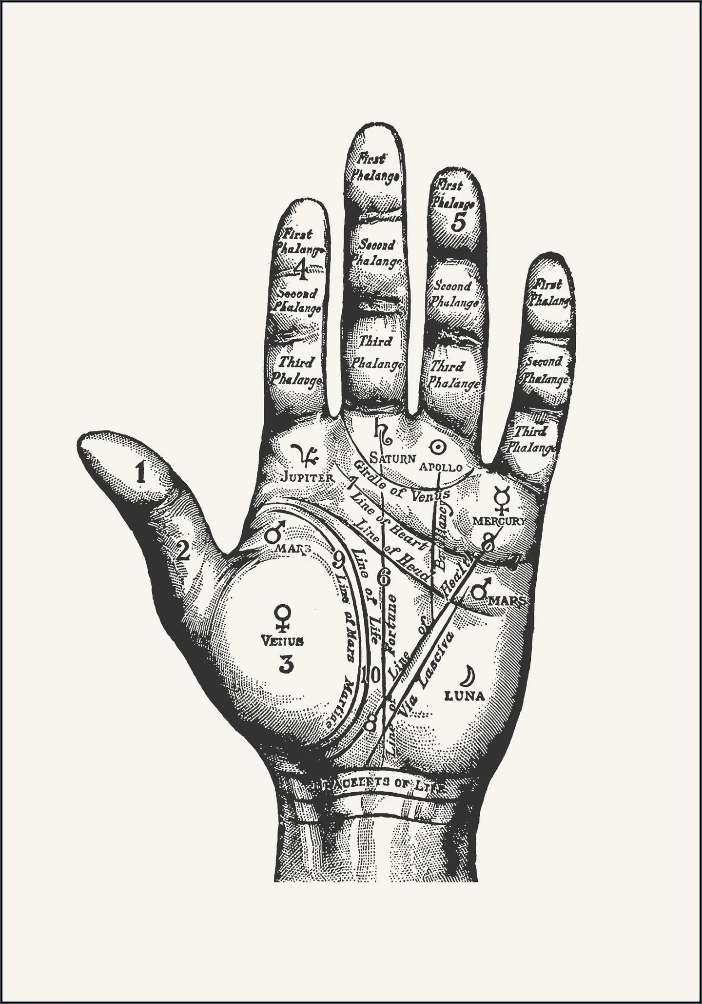 Palmistry