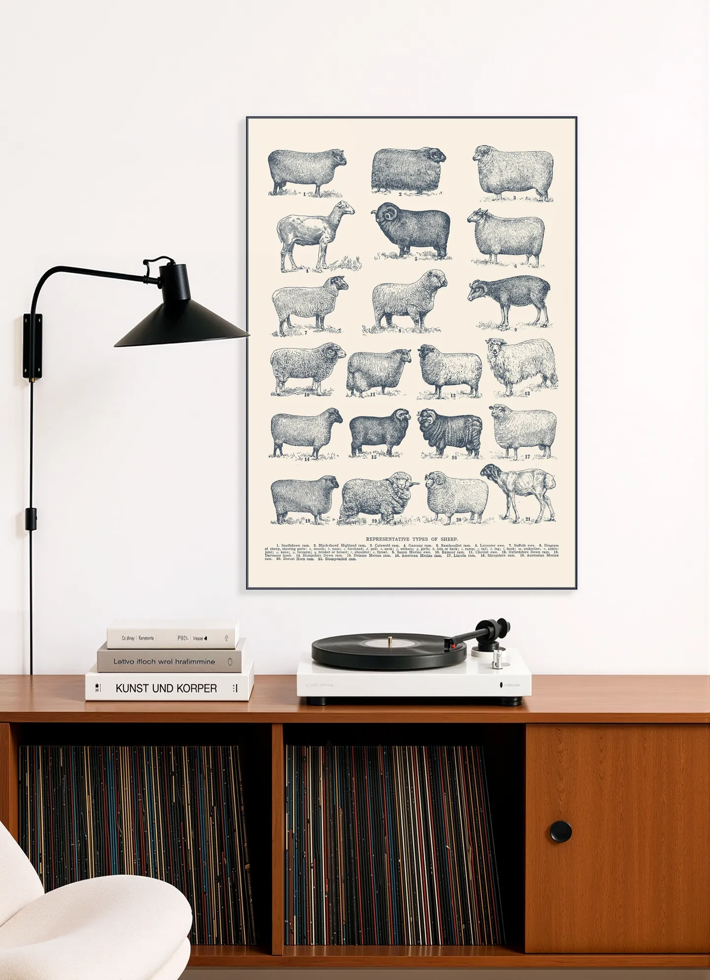 Representative Types of Sheep