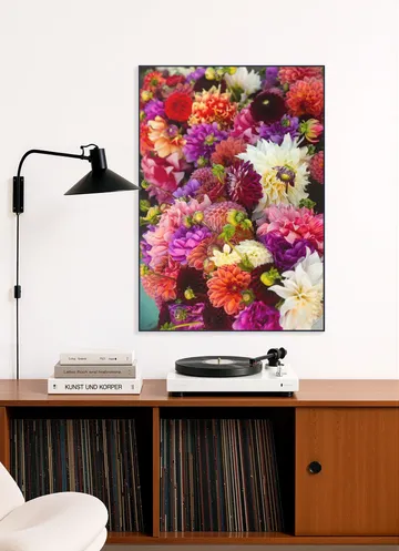 Dhalias