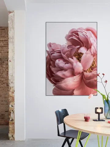 Peony