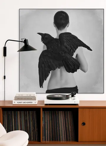 Ravens Ladder