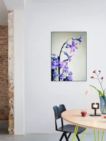 Hyacinth