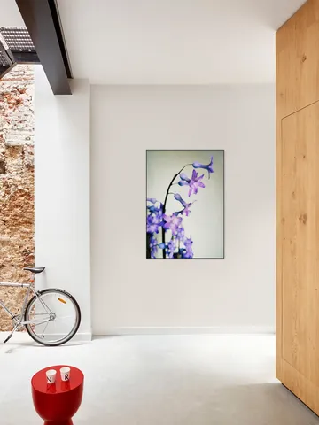 Hyacinth