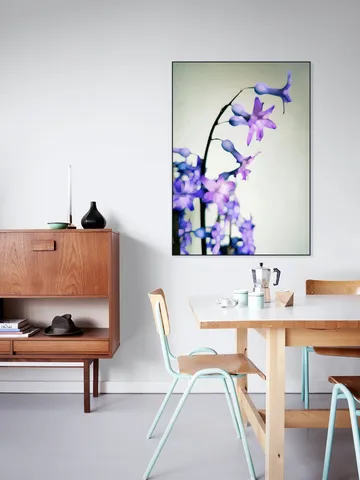 Hyacinth