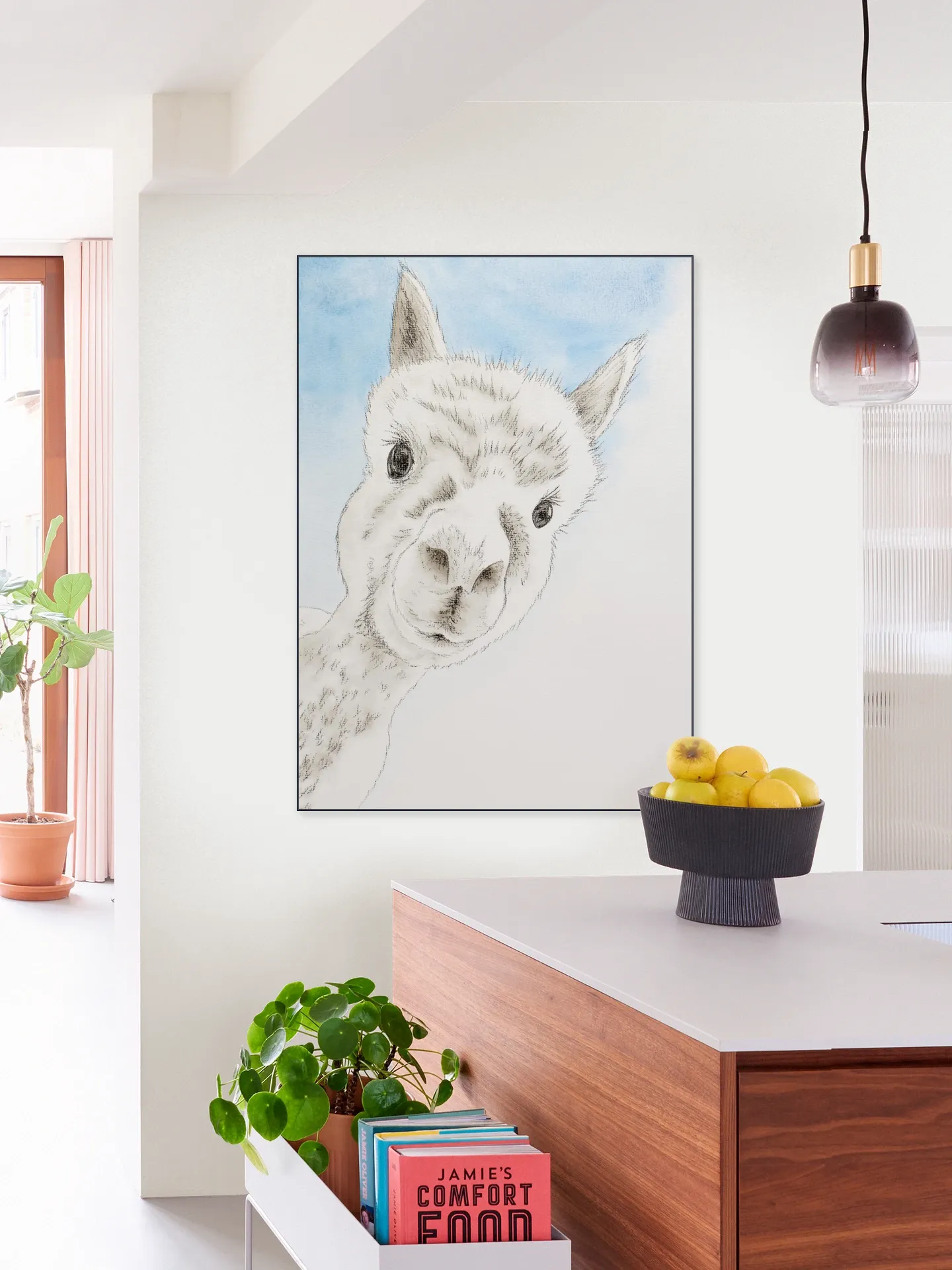 Curious Alpaca