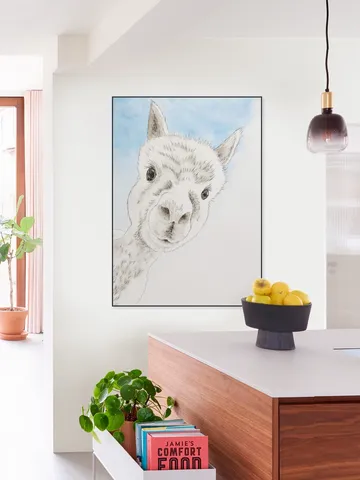 Curious Alpaca